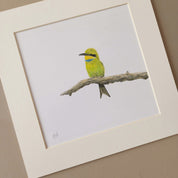 Little Bee Eater in the Kalahari Game Reserve pencil artwork