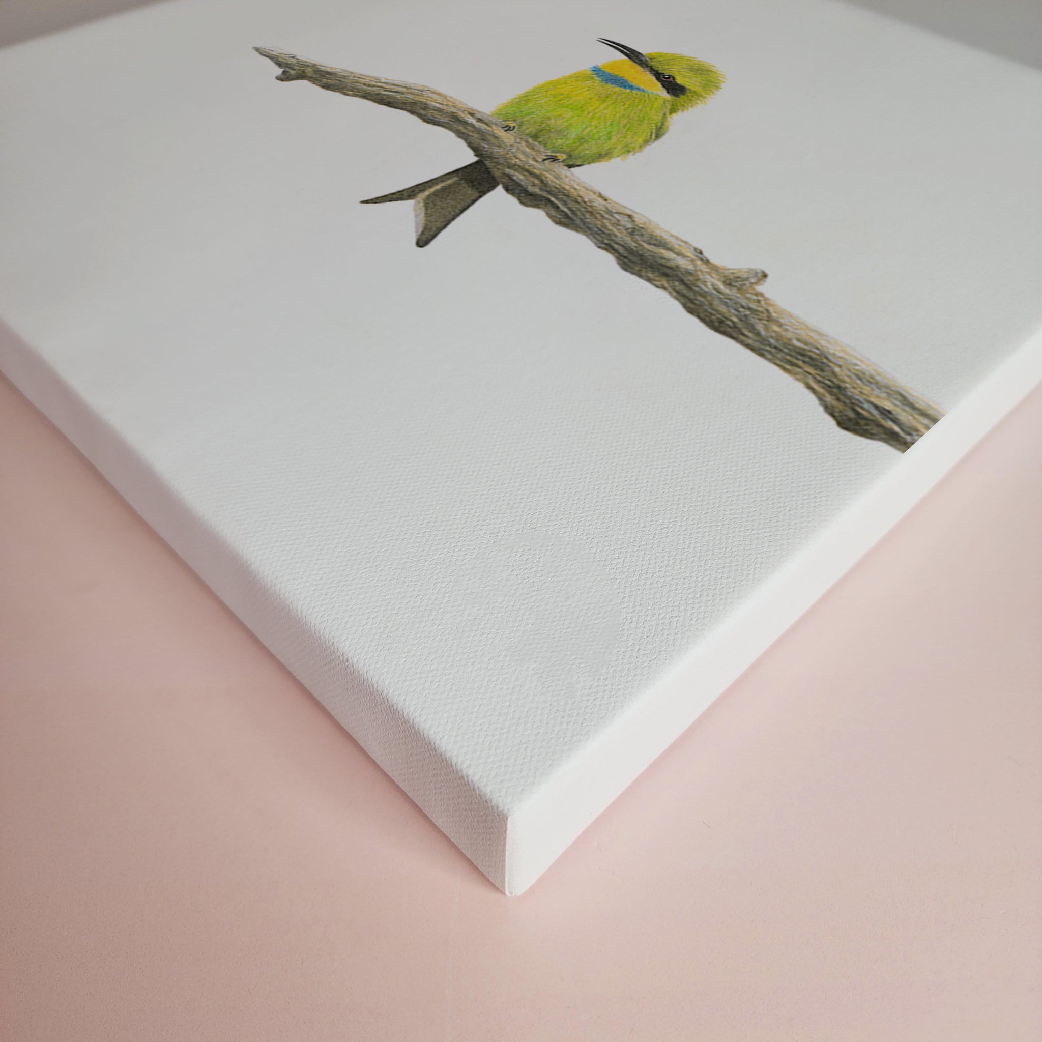 Little Bee Eater artwork printed on canvas and stretched by wildlife artist Matthew Bell