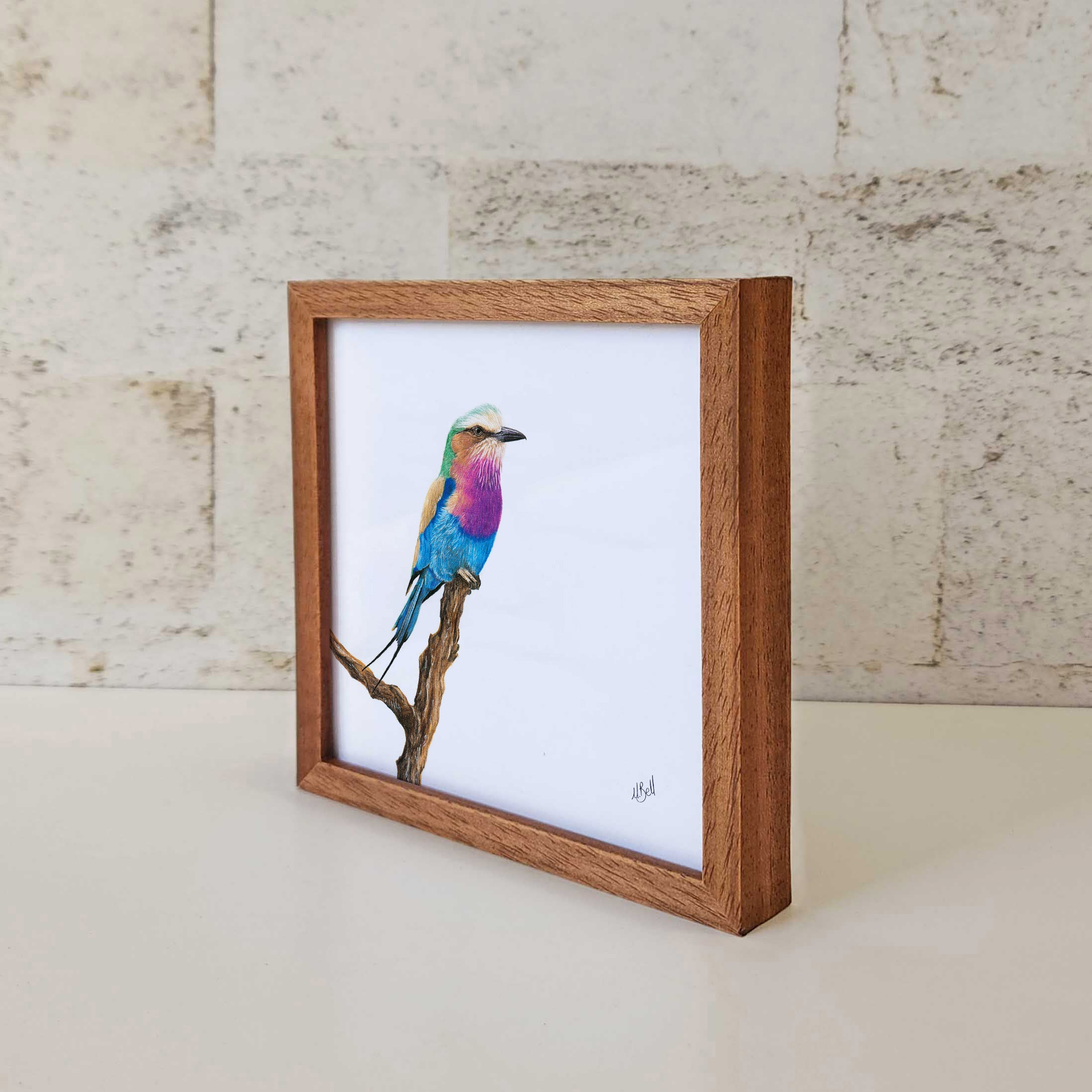 Kiaat wood framed miniature artwork of a Lilac Breasted Roller, part of wildlife artist Matthew Bell's birds of South Africa gallery