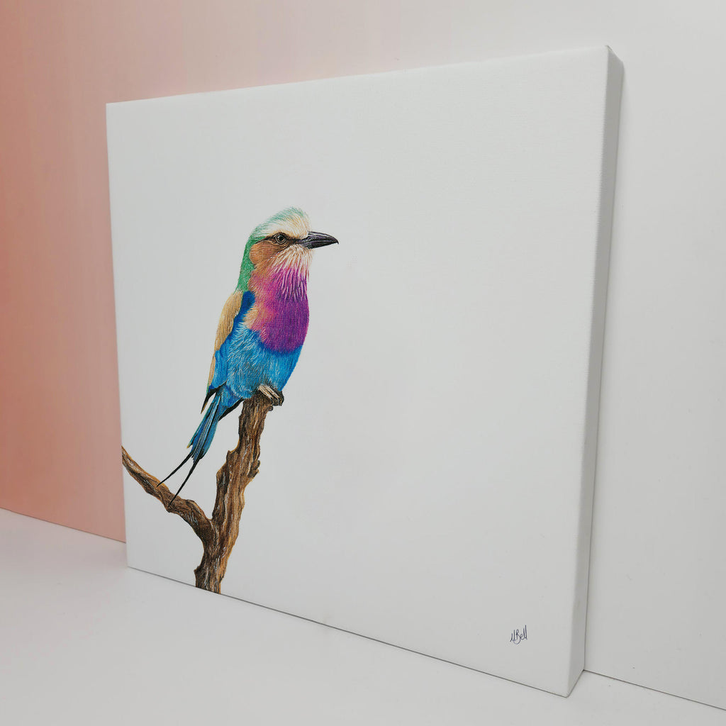 Lilac Breasted Roller bird artwork on stretched canvas