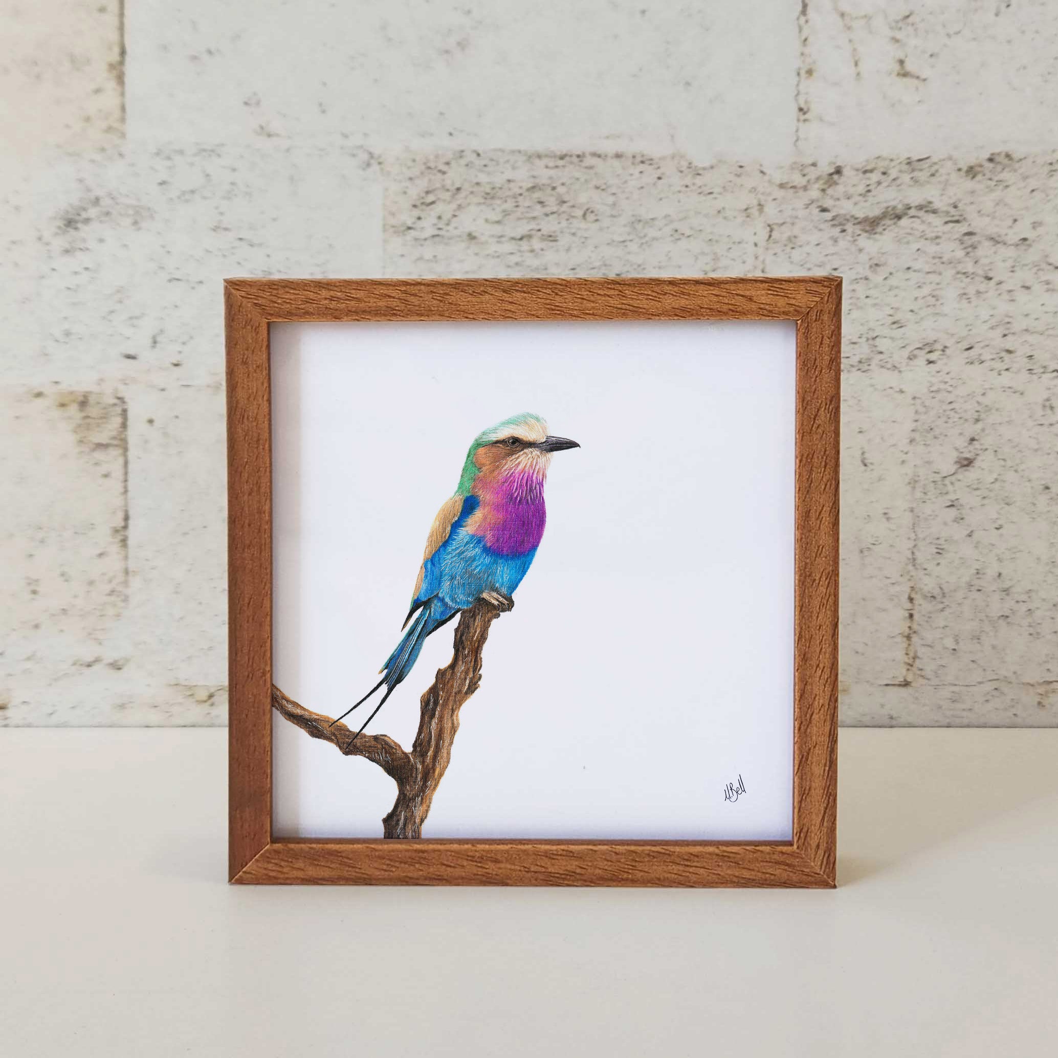 Kiaat wood framed miniature artwork of a Lilac Breasted Roller, part of wildlife artist Matthew Bell's birds of South Africa gallery