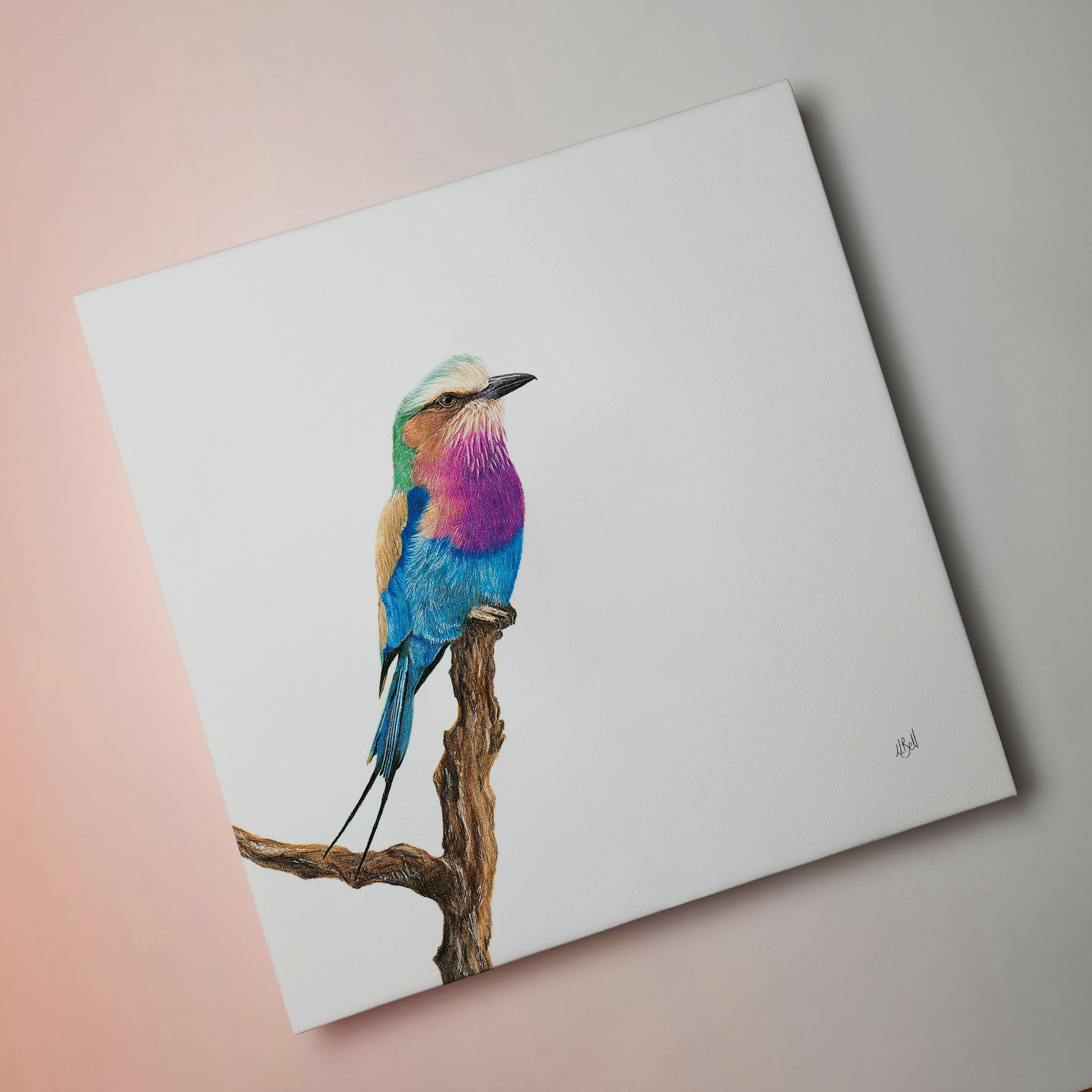 Lilac Breasted Roller bird artwork on stretched canvas