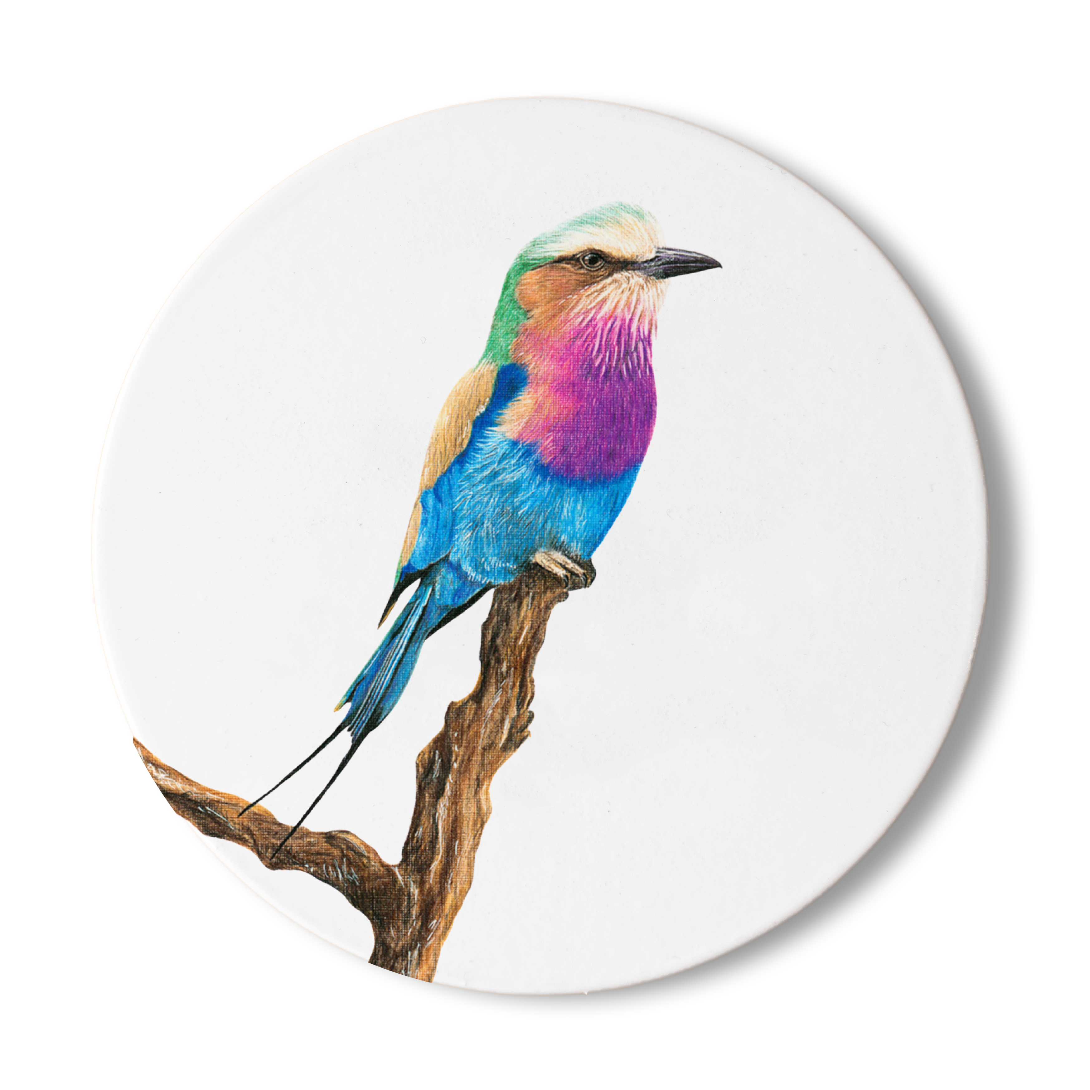 LBR1_29a5657a-90a8-41fa-94a3-0ff6087aee6c.png