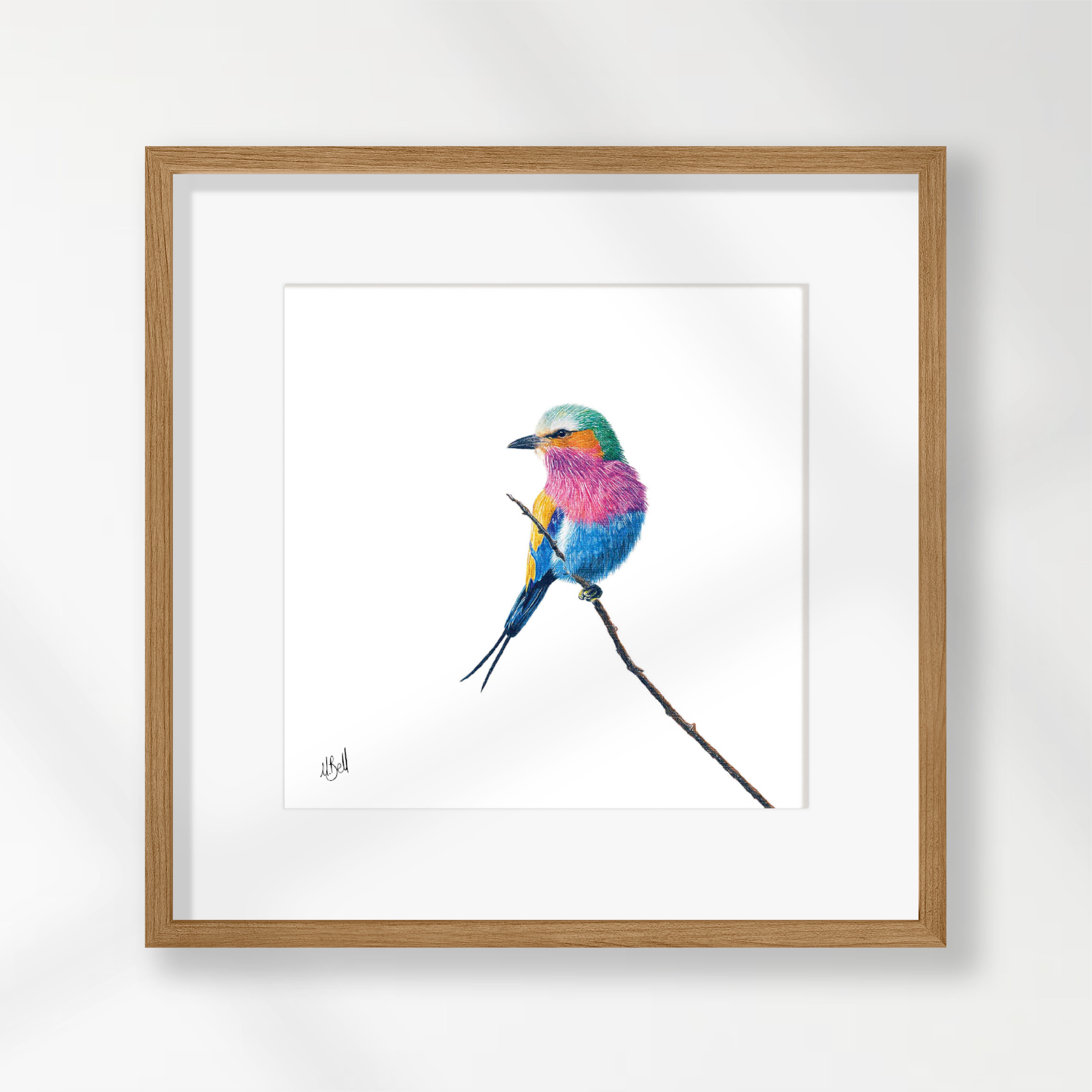 Lilac Breasted Roller - LBR2