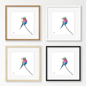 Lilac Breasted Roller - LBR2