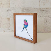 Kiaat wood framed miniature artwork of a Lilac Breasted Roller, part of wildlife artist Matthew Bell's birds of South Africa gallery