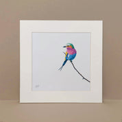 Lilac Breasted Roller print artwork mounted