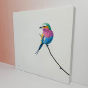 Lilac Breasted Roller bird wildlife canvas artwork