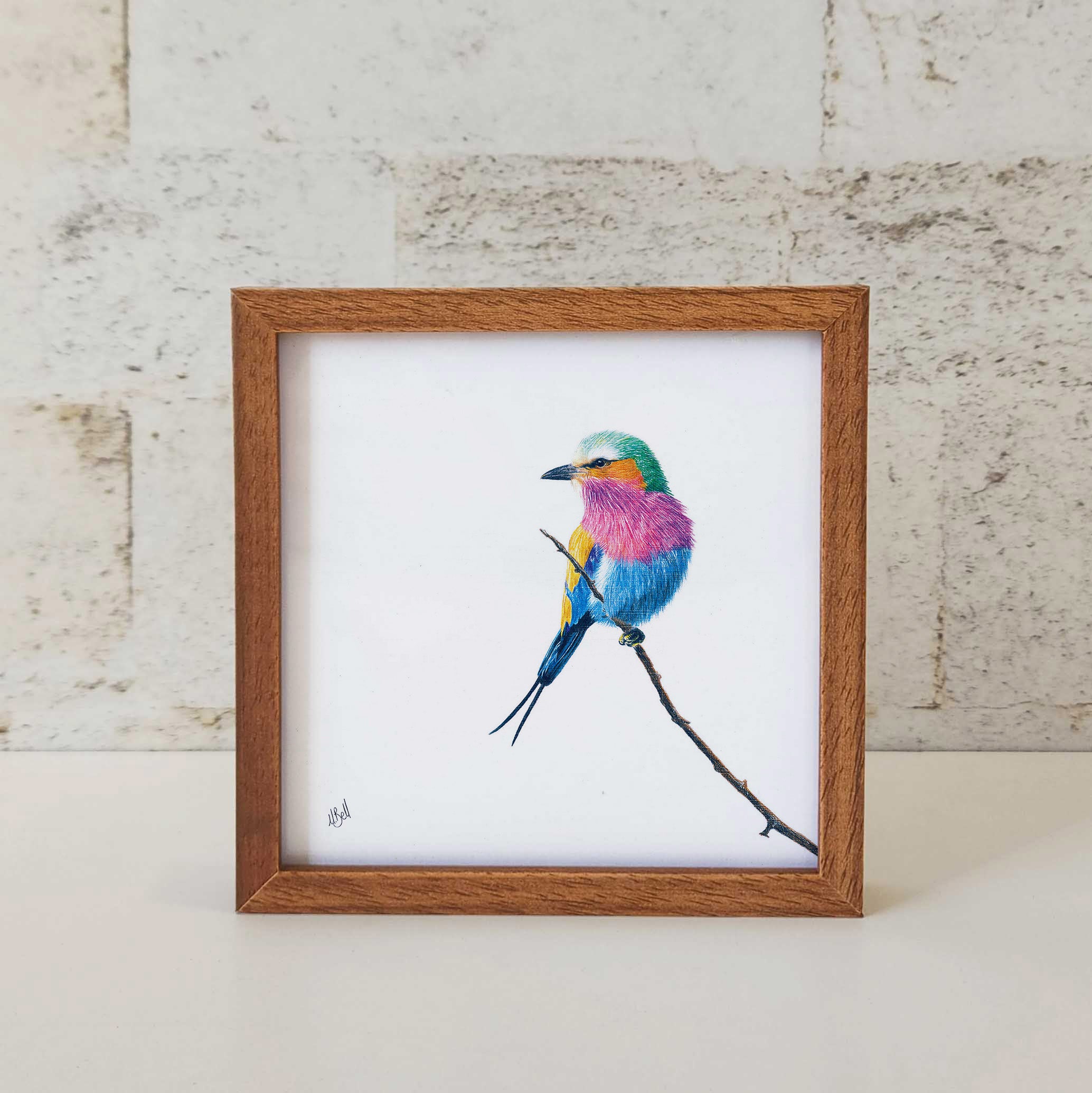 Kiaat wood framed miniature artwork of a Lilac Breasted Roller, part of wildlife artist Matthew Bell's birds of South Africa gallery