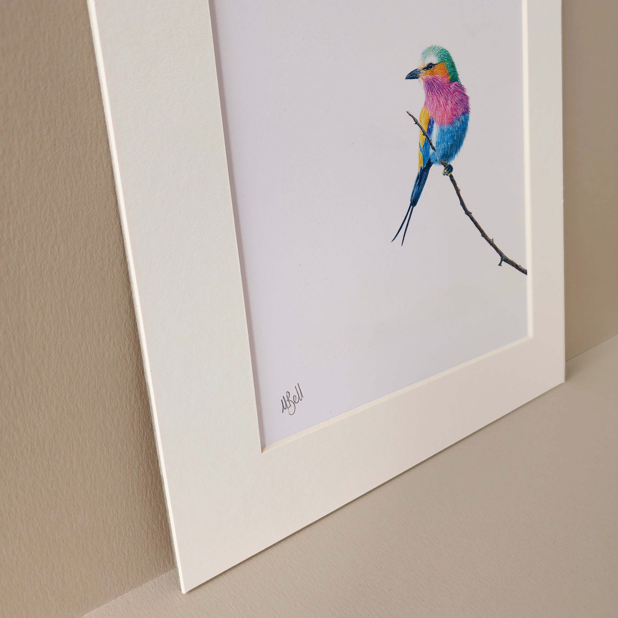 Lilac Breasted Roller print artwork mounted