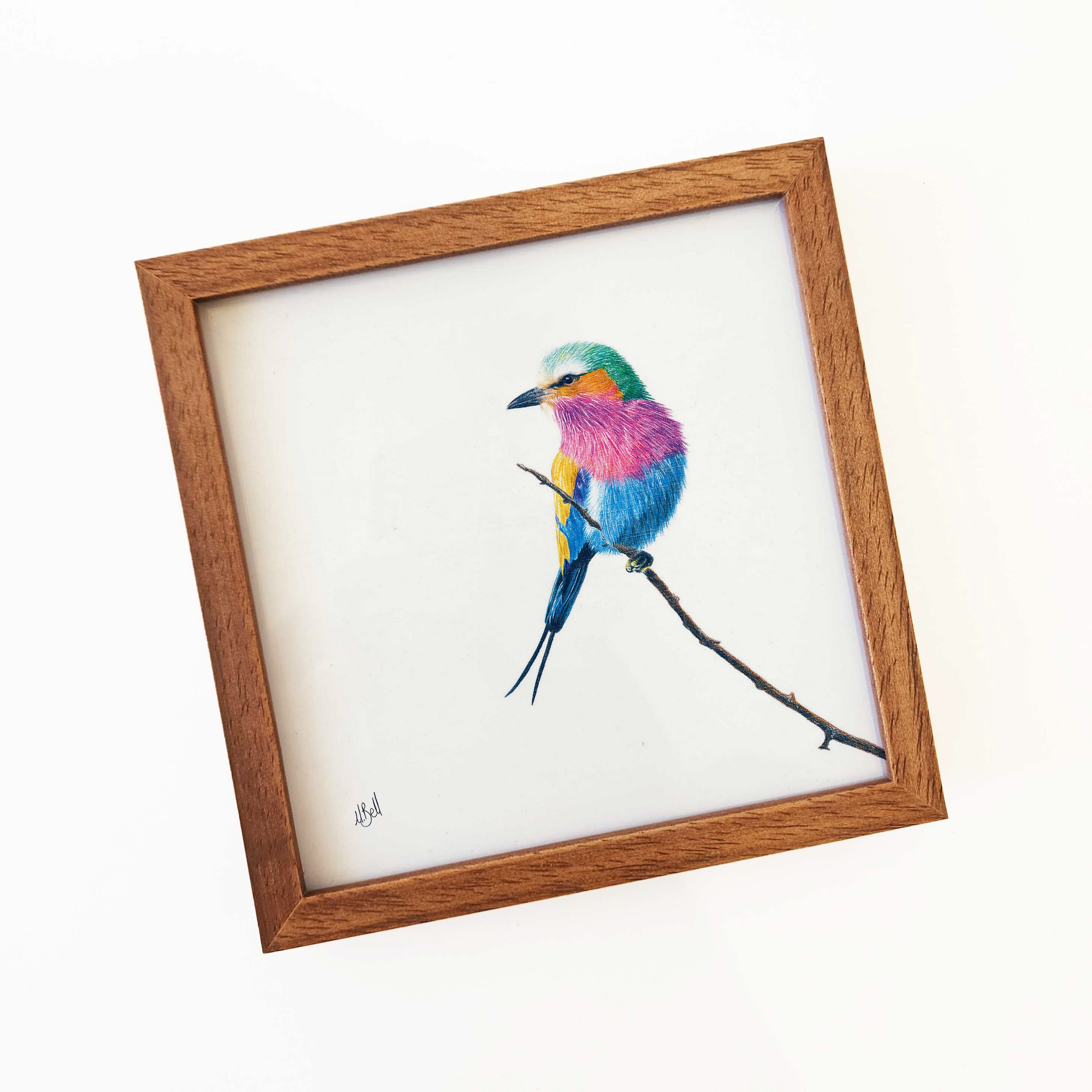 Kiaat wood framed miniature artwork of a Lilac Breasted Roller, part of wildlife artist Matthew Bell's birds of South Africa gallery