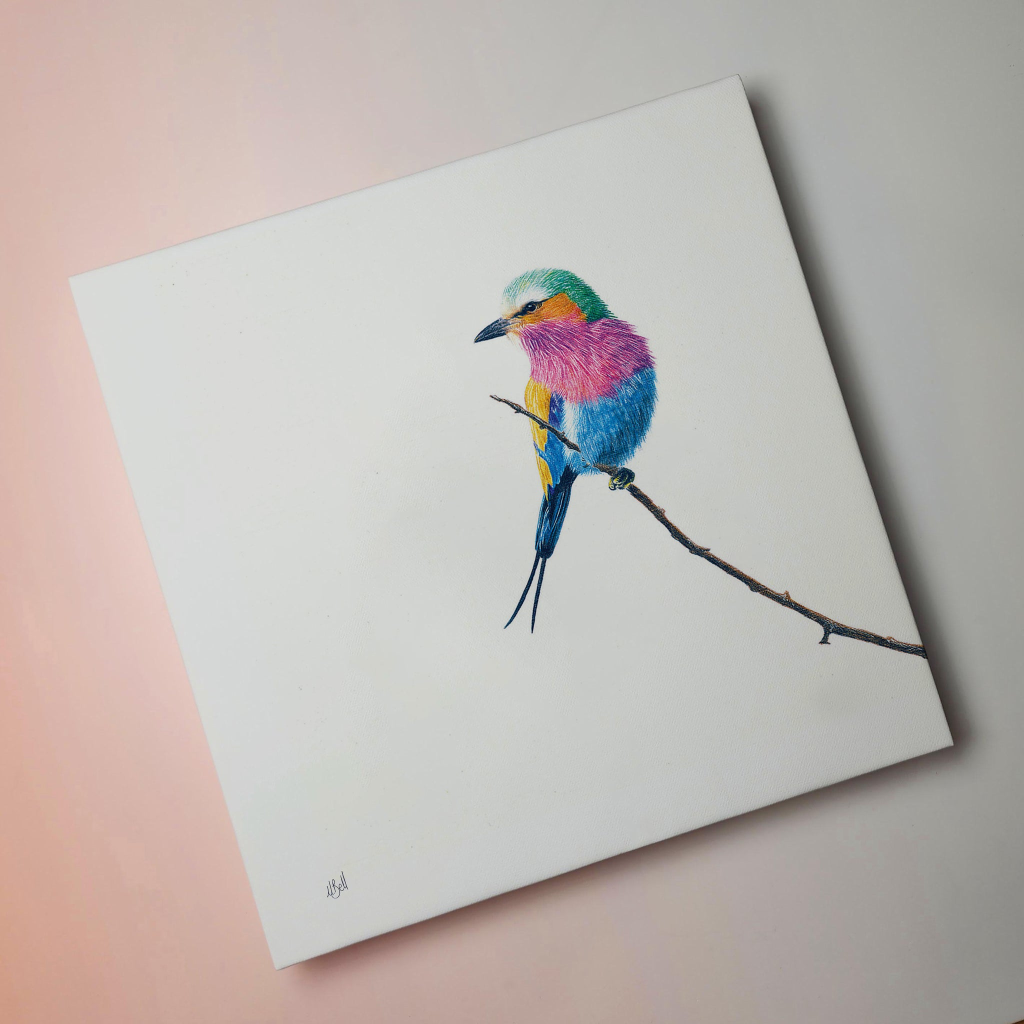 Lilac Breasted Roller bird wildlife canvas artwork