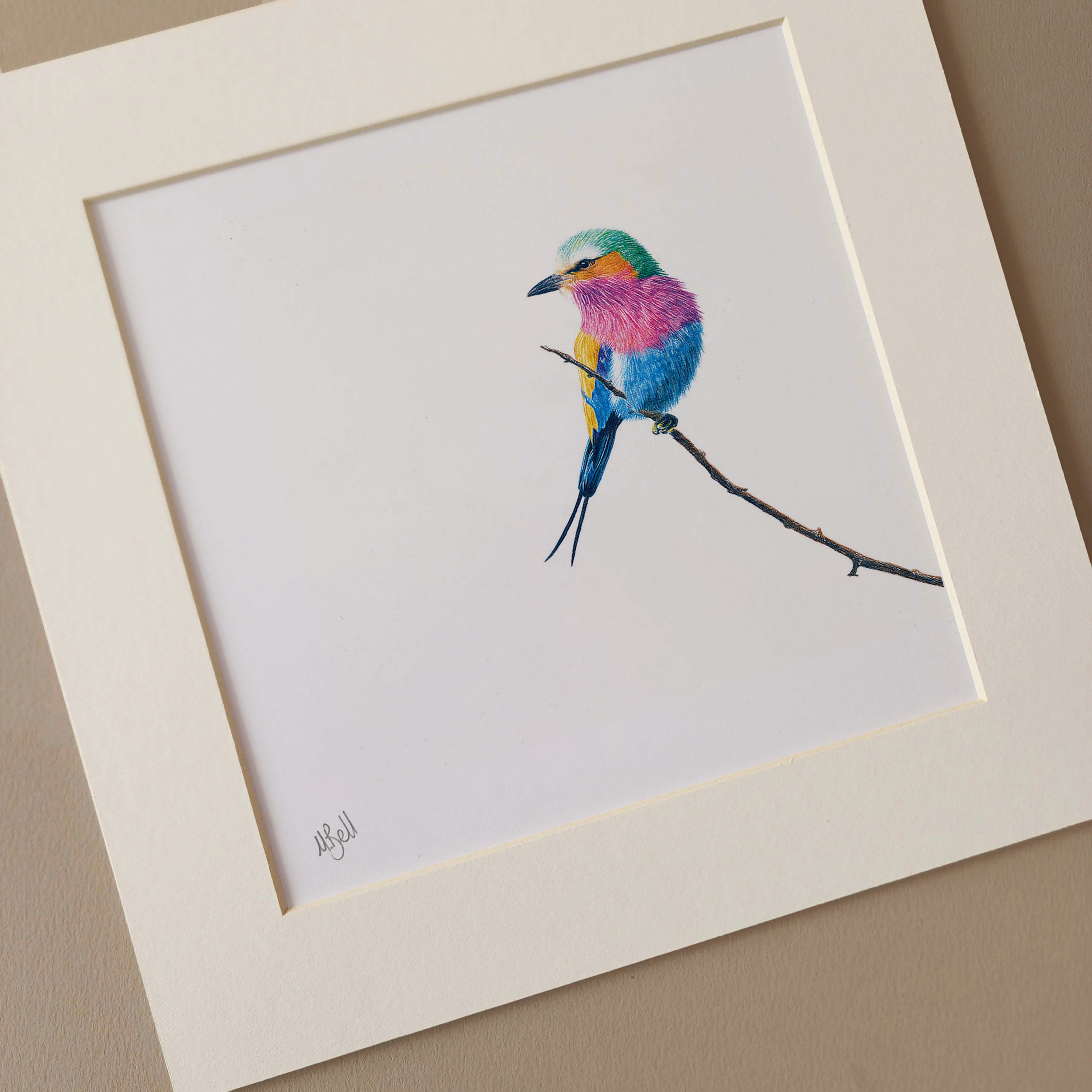 Lilac Breasted Roller print artwork mounted