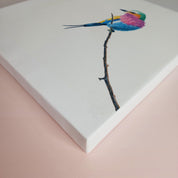 Lilac Breasted Roller bird wildlife canvas artwork