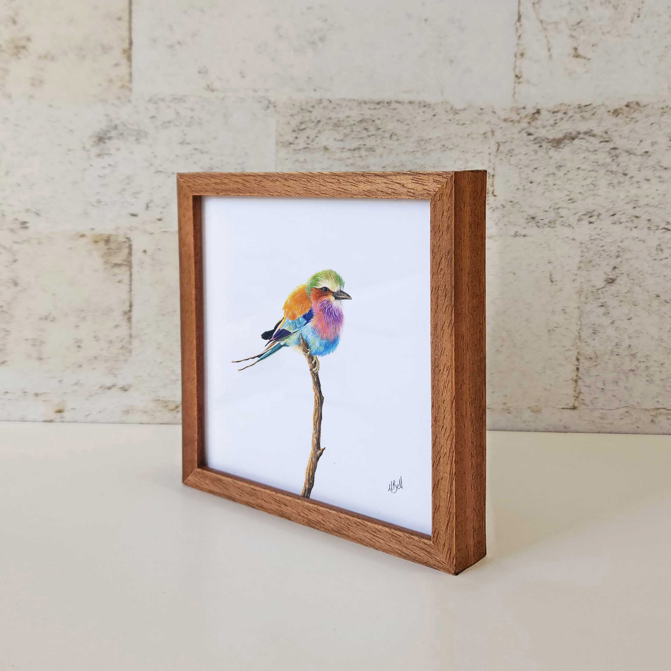 Kiaat wood framed miniature artwork of a Lilac Breasted Roller, part of wildlife artist Matthew Bell's birds of South Africa gallery