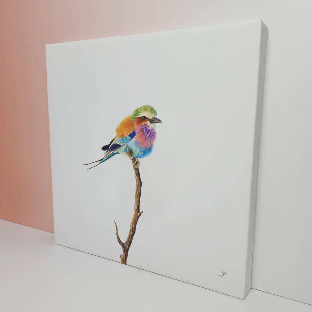 Lilac Breasted Roller bird artwork on stretched canvas