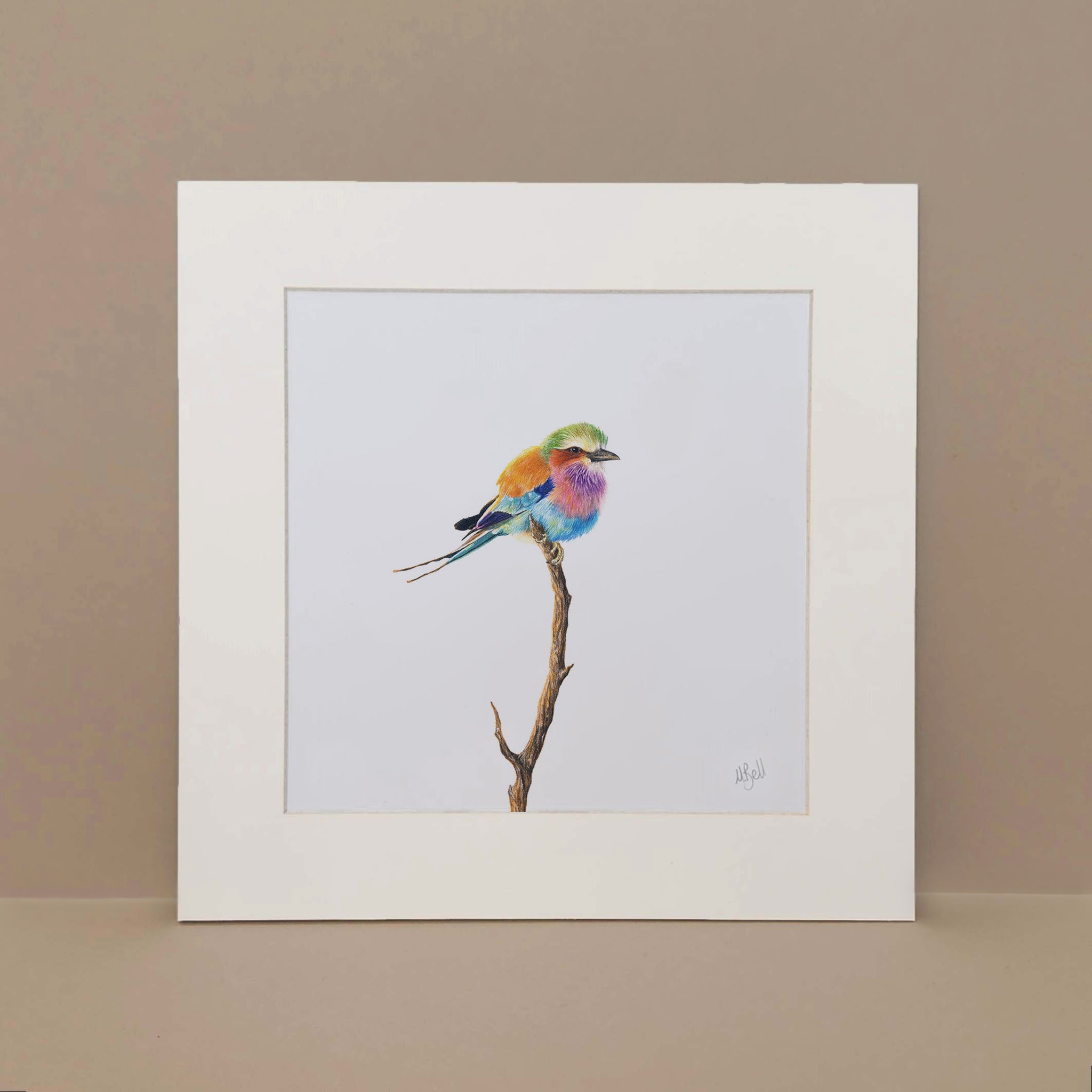 Lilac Breasted Roller art print mounted