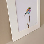 Lilac Breasted Roller art print mounted