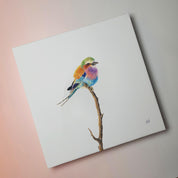 Lilac Breasted Roller bird artwork on stretched canvas