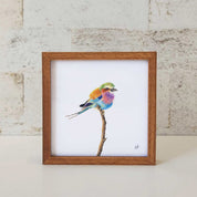 Kiaat wood framed miniature artwork of a Lilac Breasted Roller, part of wildlife artist Matthew Bell's birds of South Africa gallery