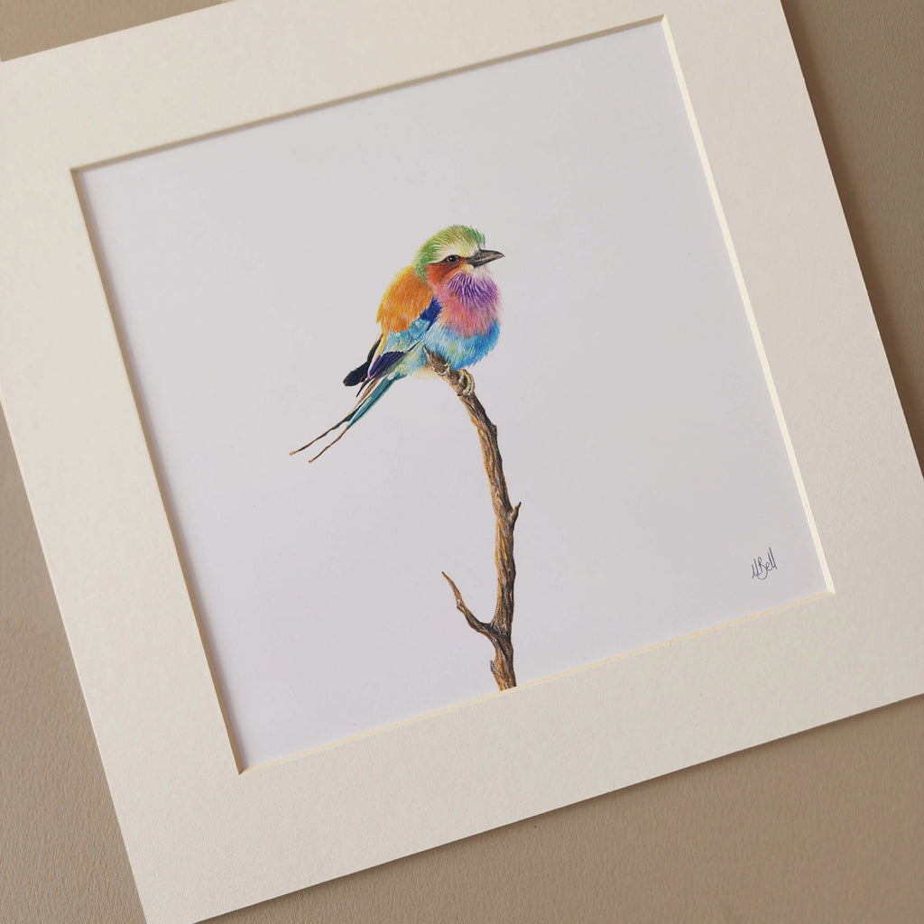 Lilac Breasted Roller art print mounted