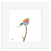 Lilac Breasted Roller - LBR3