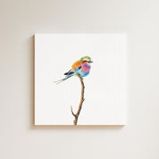 Lilac Breasted Roller drawing on canvas by South African wildlife artist Matthew Bell
