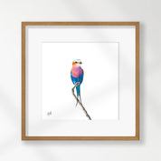 Lilac Breasted Roller - LBR4
