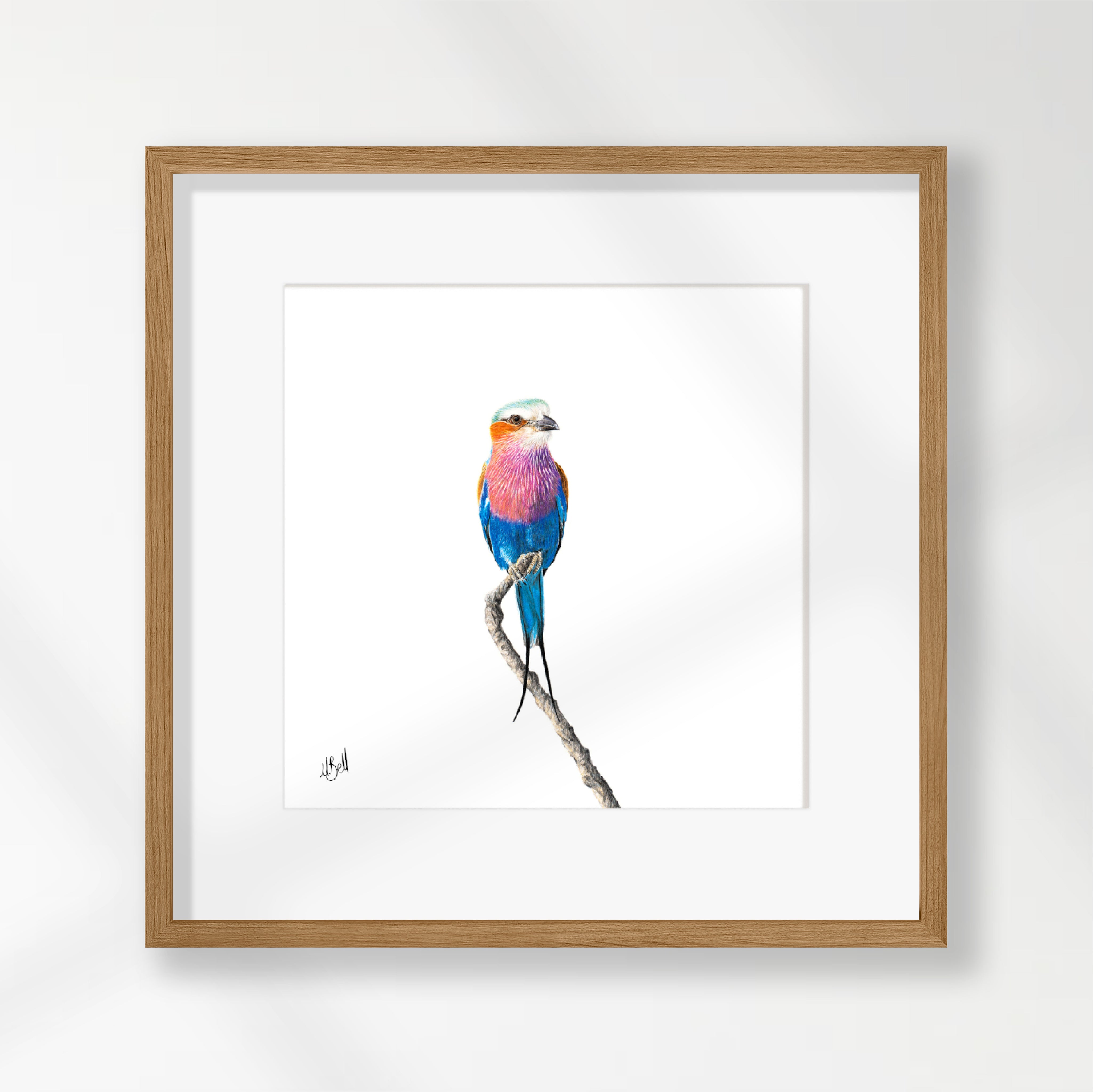 Lilac Breasted Roller - LBR4