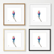 Lilac Breasted Roller - LBR4
