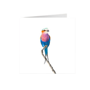 Lilac Breasted Roller Greeting Card - LBR4
