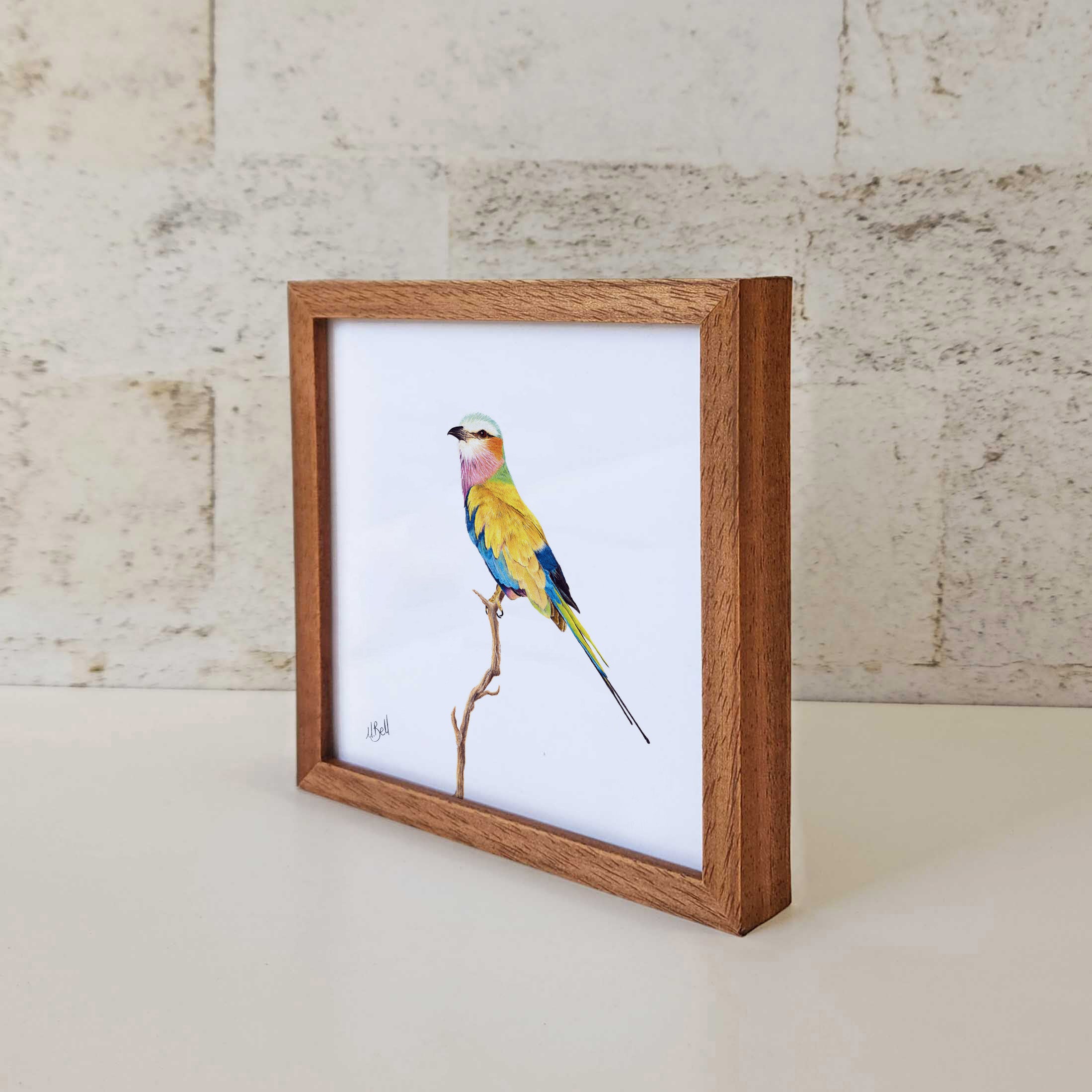 Kiaat wood framed miniature artwork of a Lilac Breasted Roller, part of wildlife artist Matthew Bell's birds of South Africa gallery