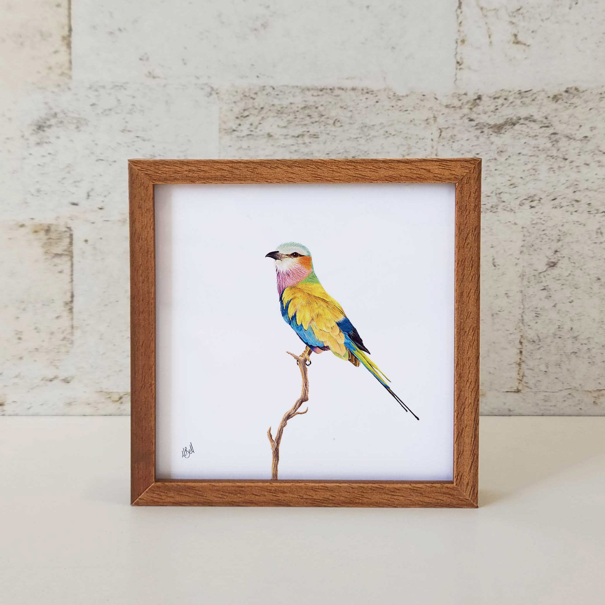 Kiaat wood framed miniature artwork of a Lilac Breasted Roller, part of wildlife artist Matthew Bell's birds of South Africa gallery