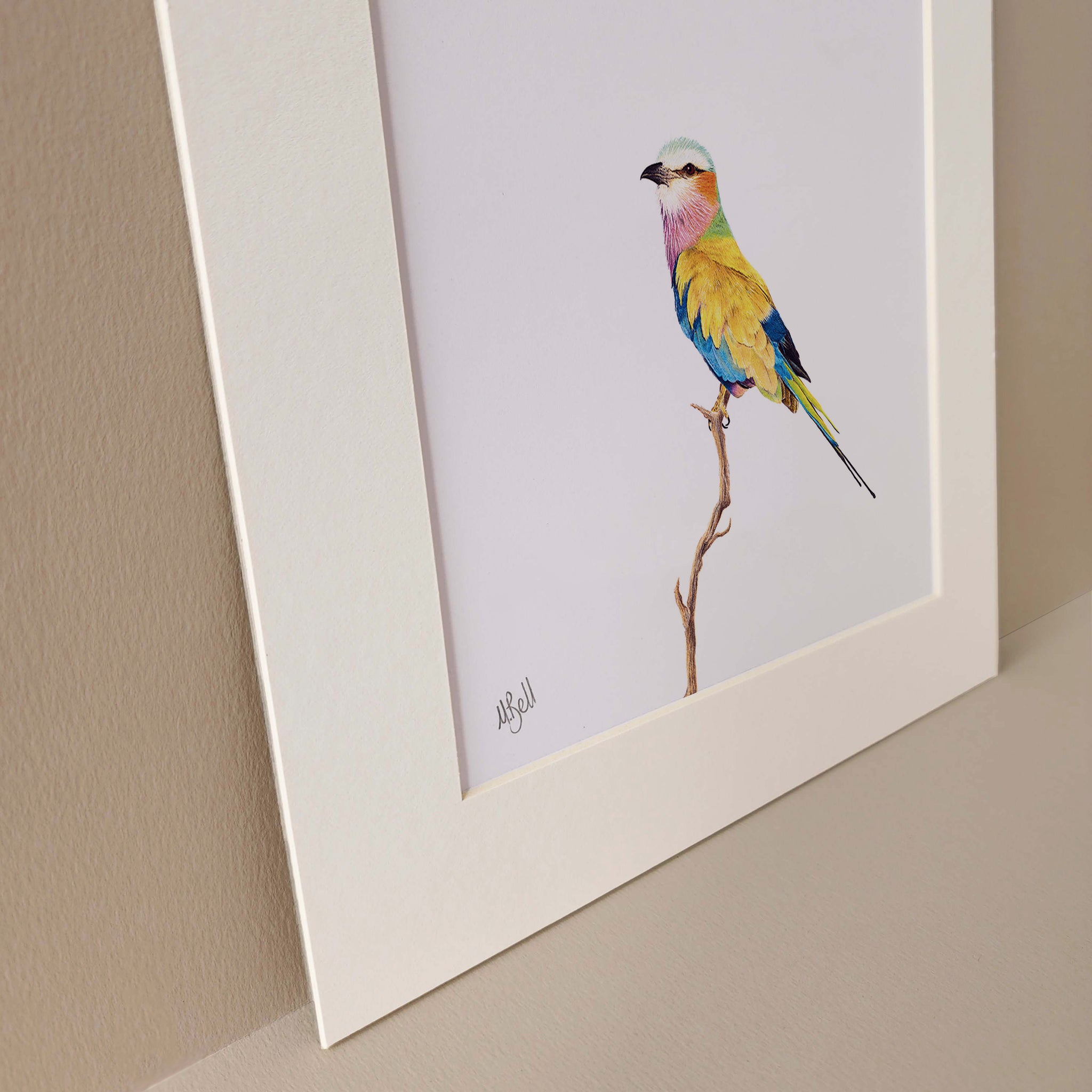 Lilac Breasted Roller drawing by Matthew Bell