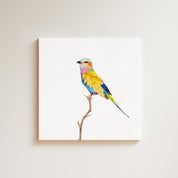 Lilac Breasted Roller drawing on canvas by South African wildlife artist Matthew Bell
