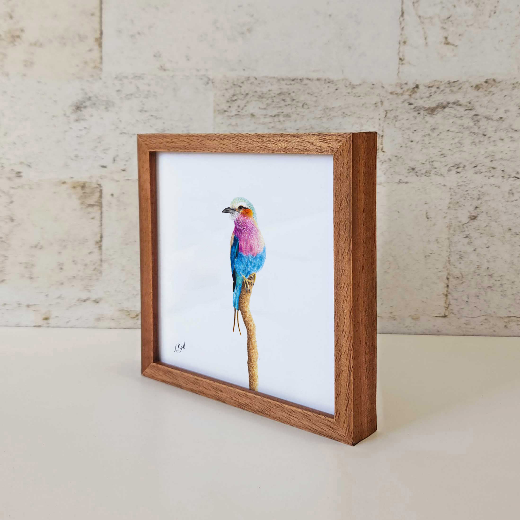 Kiaat wood framed miniature artwork of a Lilac Breasted Roller, part of wildlife artist Matthew Bell's birds of South Africa gallery