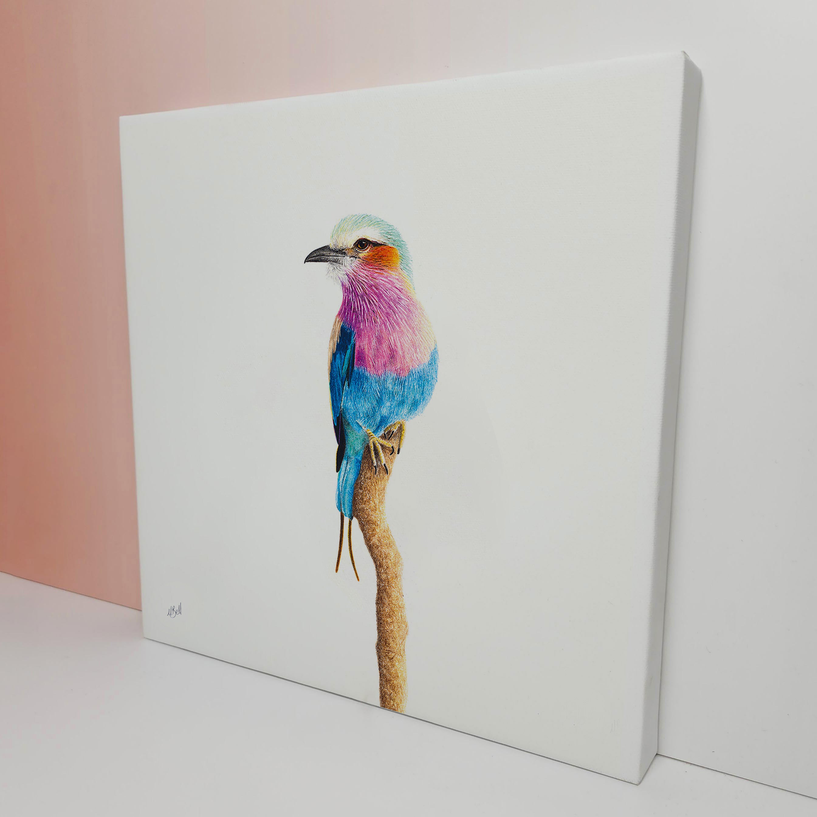 Pencil artwork on canvas stretched of a Lilac Breasted Roller