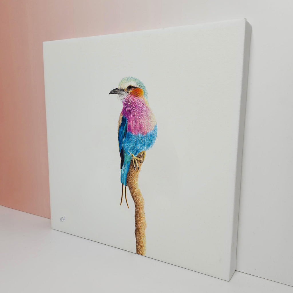 Pencil artwork on canvas stretched of a Lilac Breasted Roller