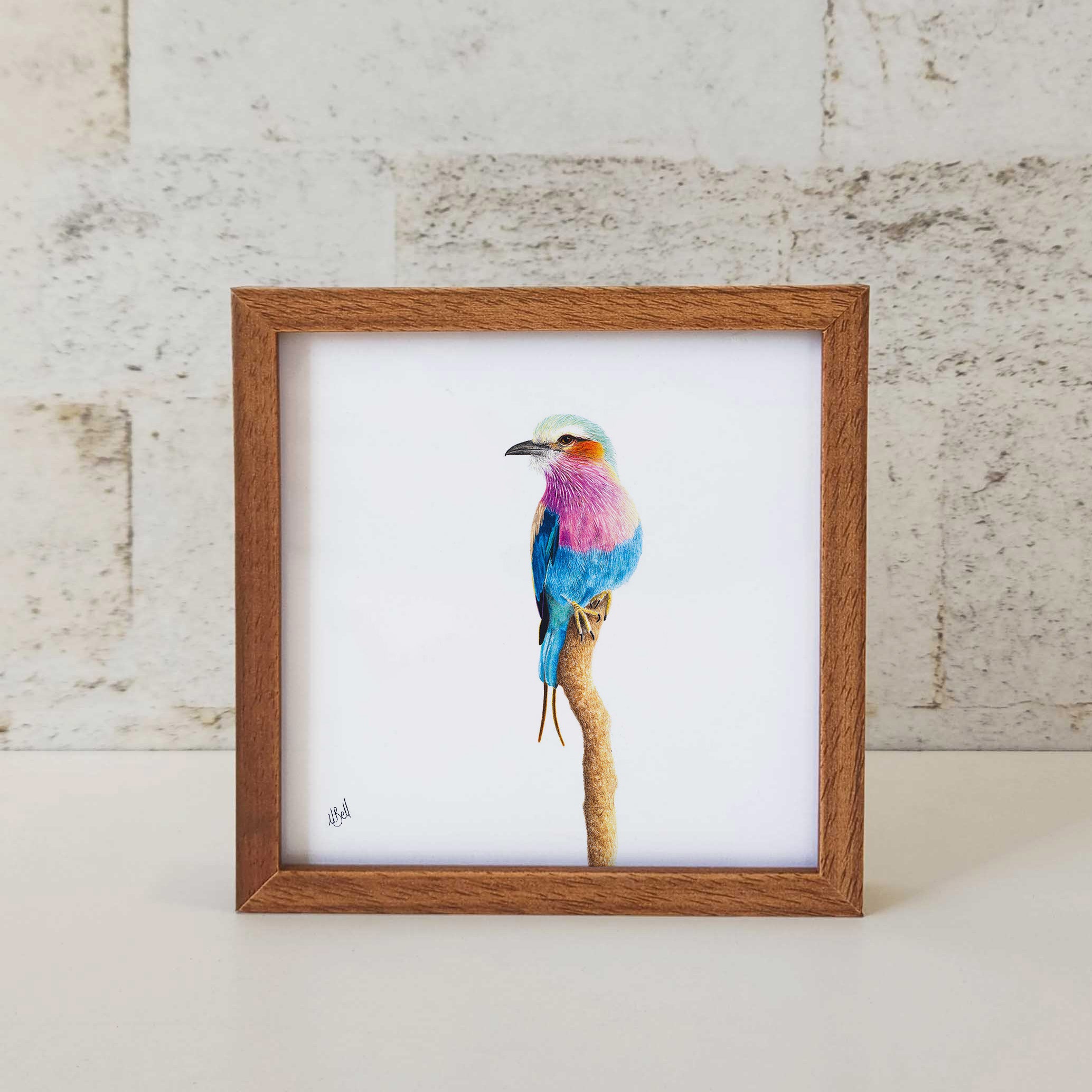 Kiaat wood framed miniature artwork of a Lilac Breasted Roller, part of wildlife artist Matthew Bell's birds of South Africa gallery