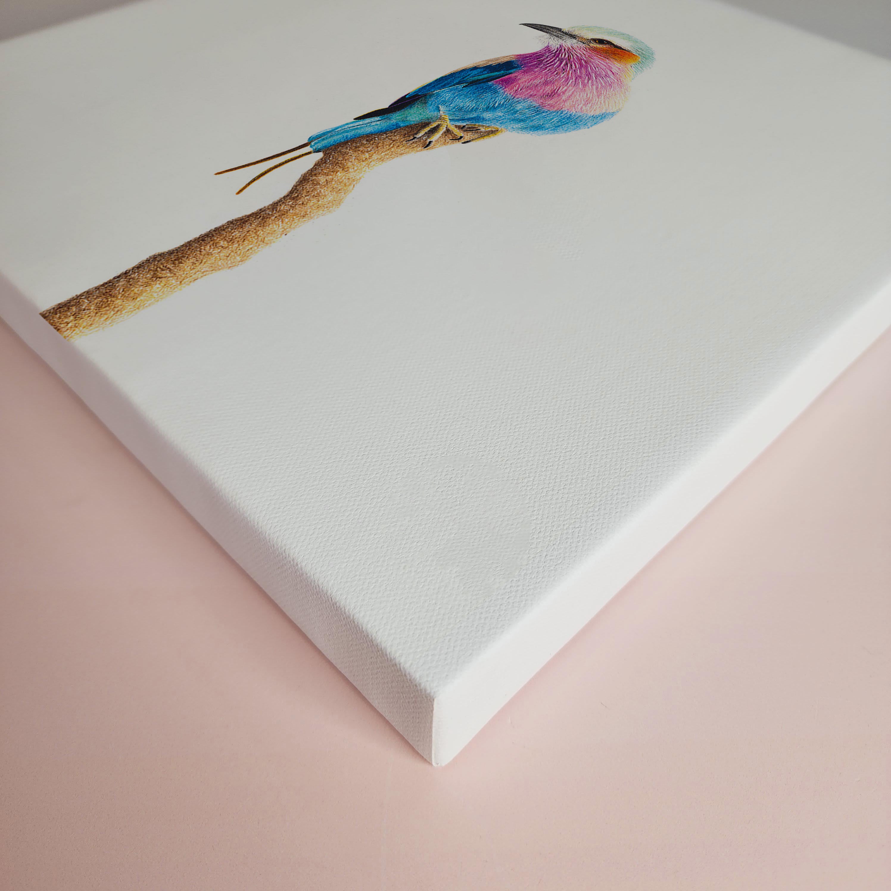 Pencil artwork on canvas stretched of a Lilac Breasted Roller