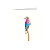 Lilac Breasted Roller Greeting Card - LBR6