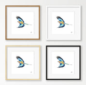 Lilac Breasted Roller - LBR7