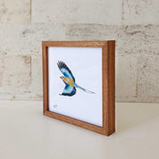 Kiaat wood framed miniature artwork of a Lilac Breasted Roller part of wildlife artist Matthew Bell's birds of South Africa gallery