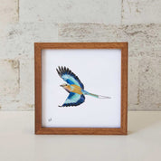 Kiaat wood framed miniature artwork of a Lilac Breasted Roller part of wildlife artist Matthew Bell's birds of South Africa gallery