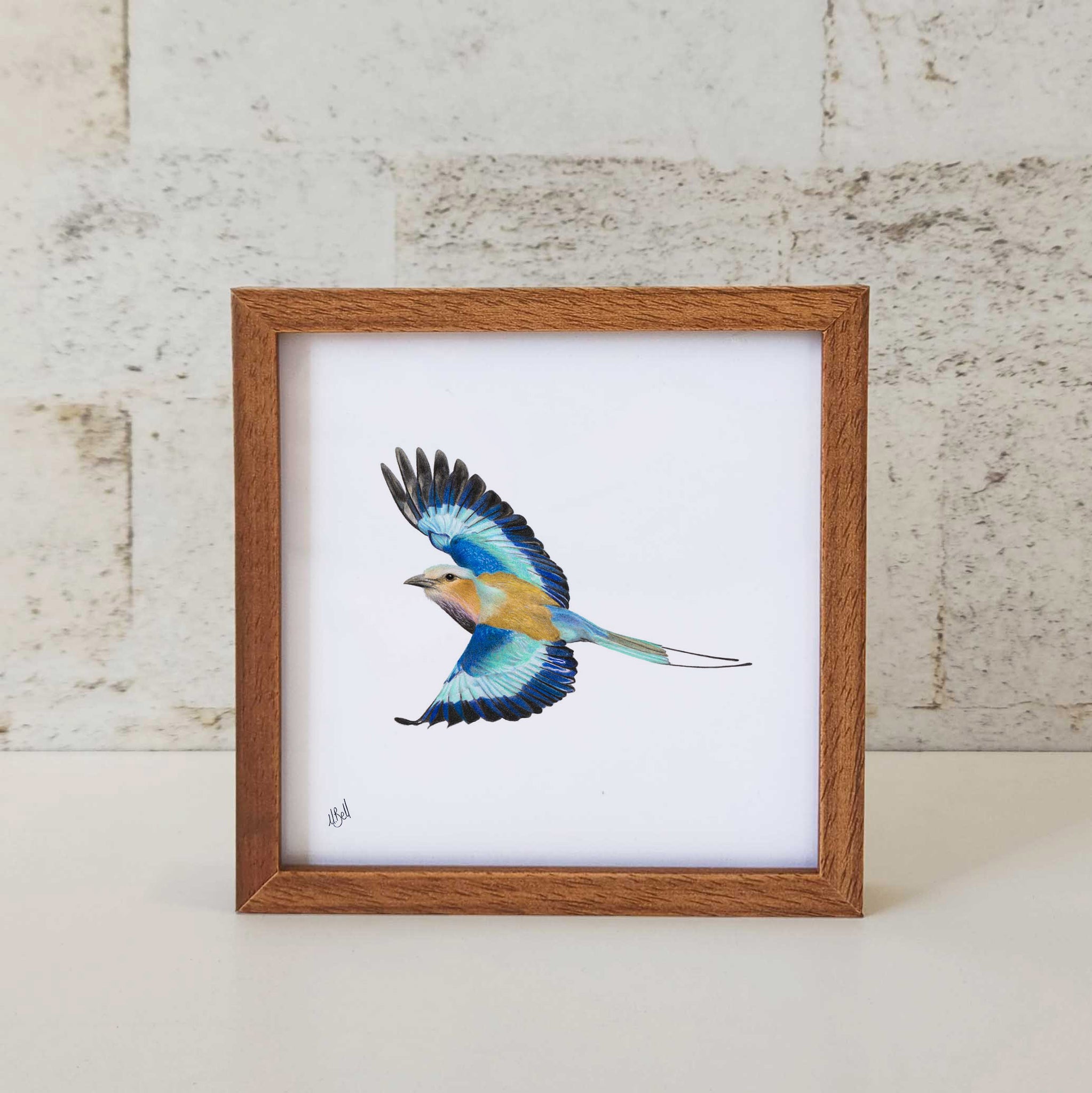 Lilac Breasted Roller wood framed bird art print