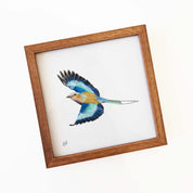 Kiaat wood framed miniature artwork of a Lilac Breasted Roller part of wildlife artist Matthew Bell's birds of South Africa gallery