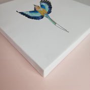 South African bird artwork on canvas, stretched on wooden frame by wildlife artist Matthew Bell of a Lilac Breasted Roller