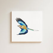 Lilac Breasted Roller drawing on canvas by South African wildlife artist Matthew Bell