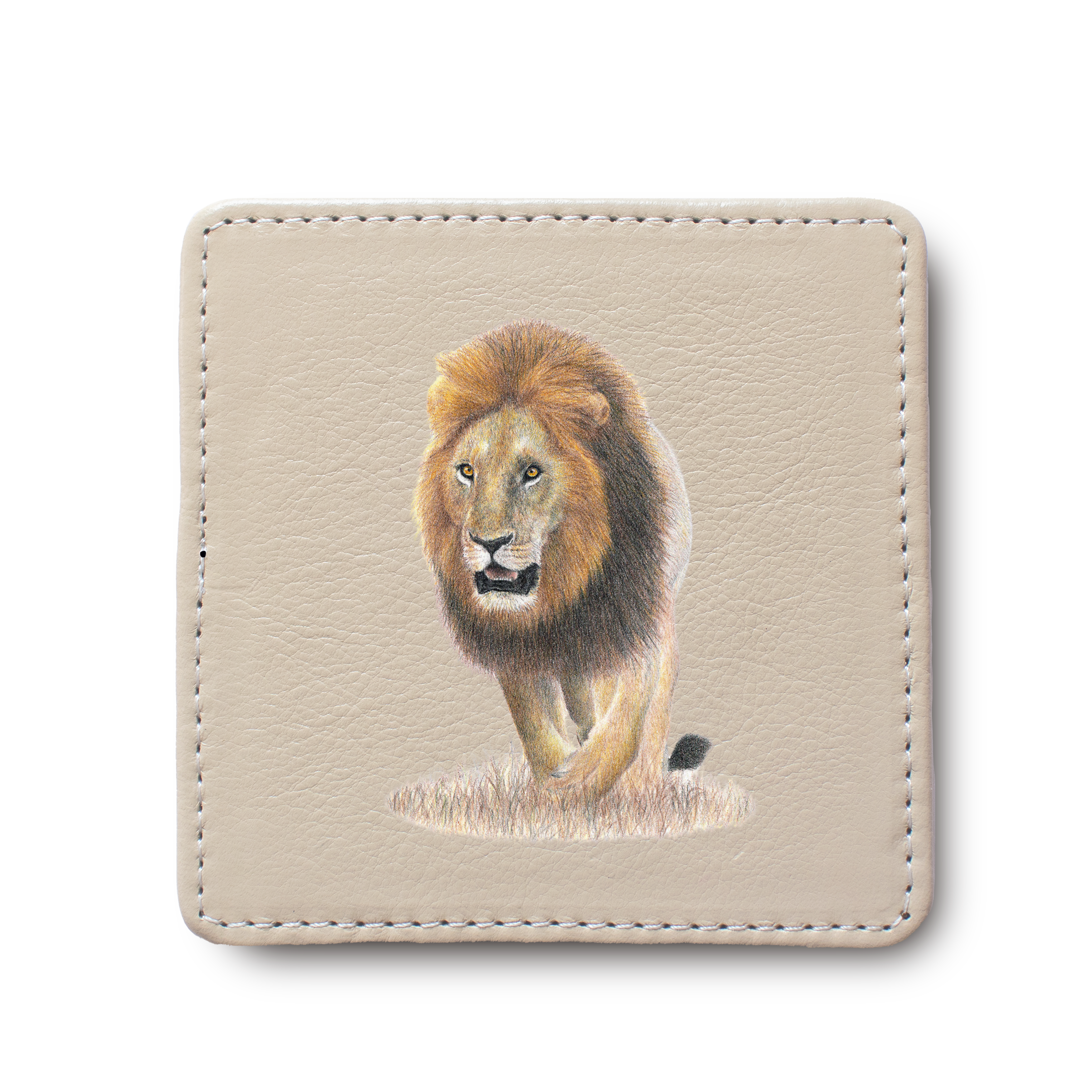 Lion leather coaster by South African wildlife artist Matthew Bell