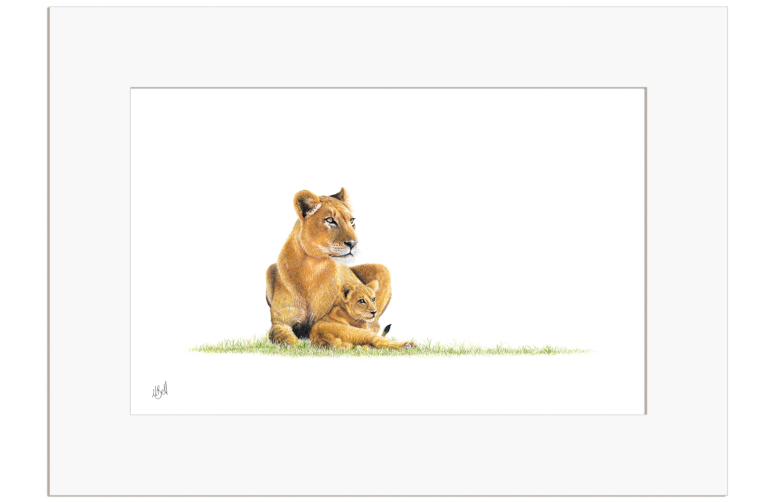 Lioness With Cub - LN2